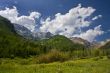 Mountain Meadow