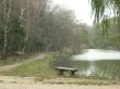 Bench near the lake