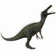 Suchomimus Tenerensis