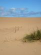dunes