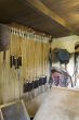 Polo stable
