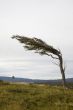 stormy weather