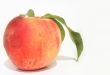 Single peach