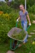 Women wheel a barrow