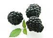 three ripe fresh blackberries