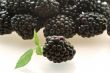 one fresh ripe blackberry