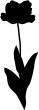 Tulip Flower silhouette
