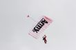 Paraglider