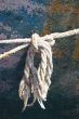 Detail of frayed rope on side of boat