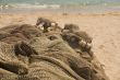 Fishing nets on beach