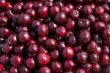 Sweet cherry