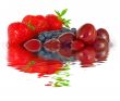 fresh berries reflection