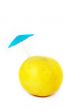 Melon
