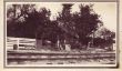 Antique photograph early americana
