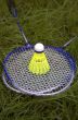 badminton set