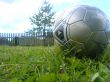 Ball on a grass