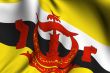 Rendered Bruneian Flag