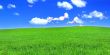 panoramic view of peaceful grassland