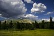 Mountain Meadow