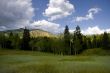 Mountain Meadow