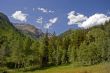 Mountain Meadow
