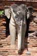 Elephant and wall