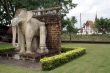 Elephant and temple in Sukhotai
