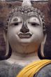 Buddha`s head