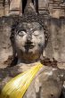 Buddha`s head