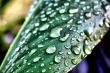Elements of nature