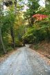 Changing Seasons