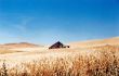 Farming