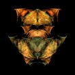 Fractal