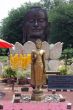 Buddha`s head
