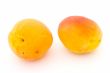 Two big apricots