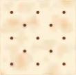 Saltine Cracker