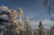 Winter sunlight