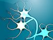 Nerve cells illustration