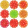 Citrus slices