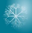 Snowflake illustration
