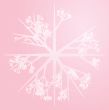 Snowflake illustration
