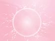 Egg fertilization illustration