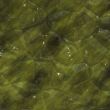 Faceted ore deposits