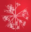 Snowflake illustration