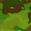 Camouflage pattern