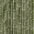 Bamboo plants