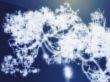 Neural network