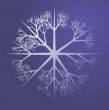 Snowflake illustration