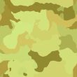 Camouflage pattern