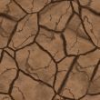 Parched earth